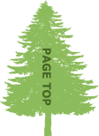 PAGE TOP