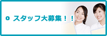 スタッフ大募集！！